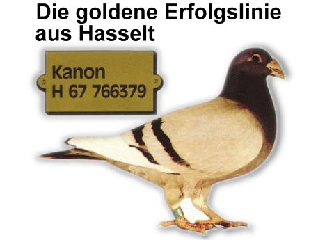 Het Kanon Tauben 